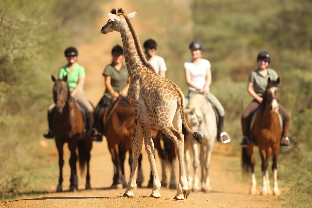Pakamisa Private Game Reserve 28/34