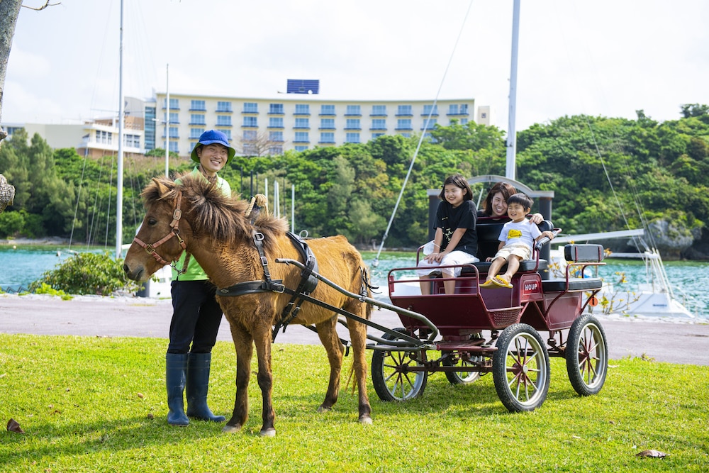 Marine Piazza Okinawa 38/49