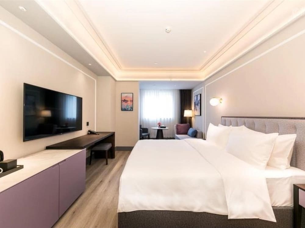 Mercure Xian Qujiang 24/60