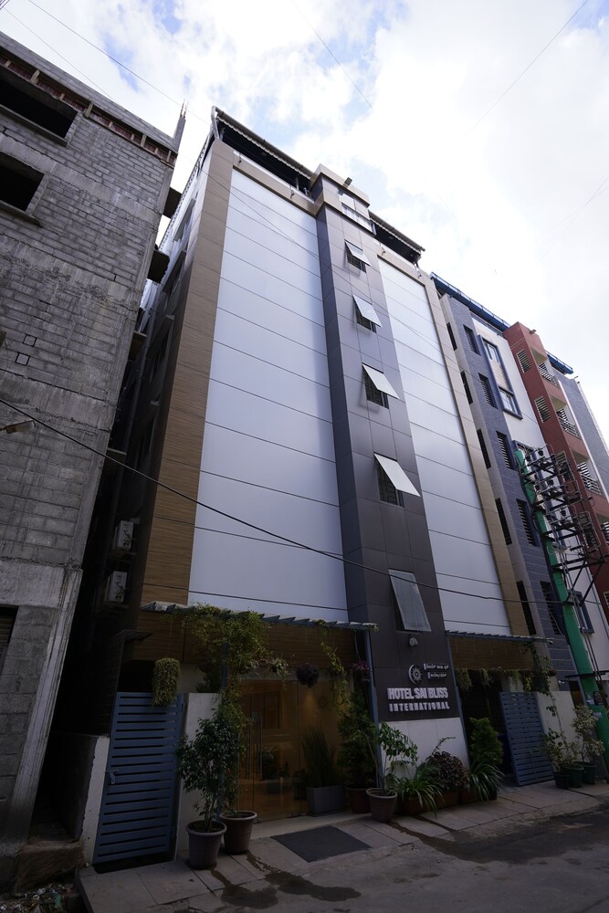 サイ ブリス インターナショナル 写真5
