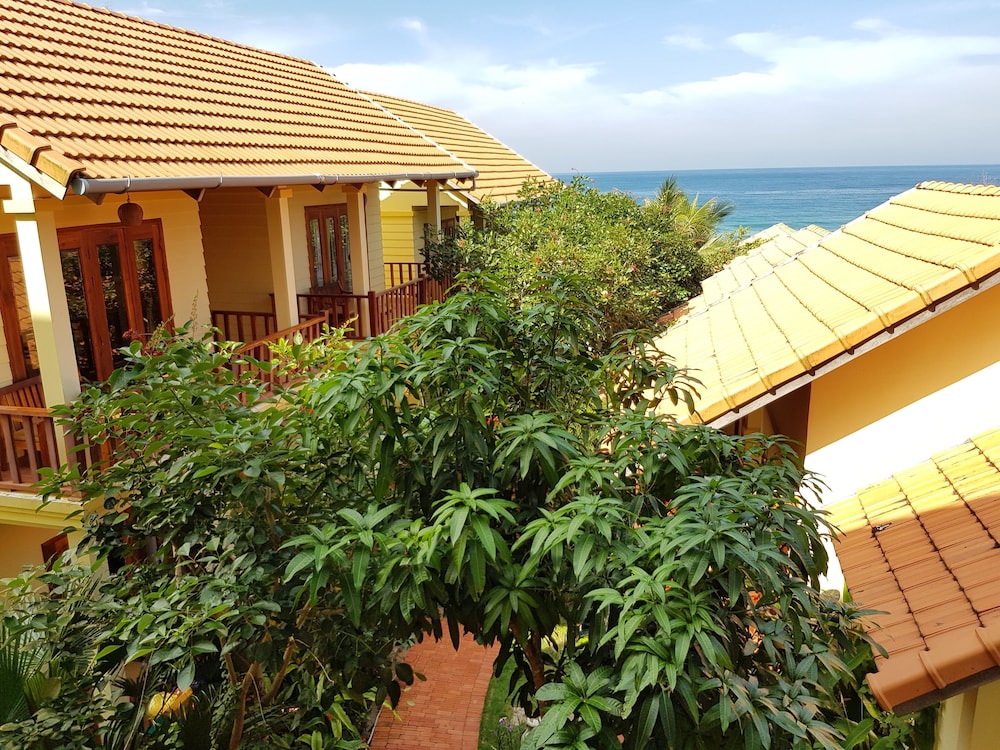 Free Beach Resort 45/50