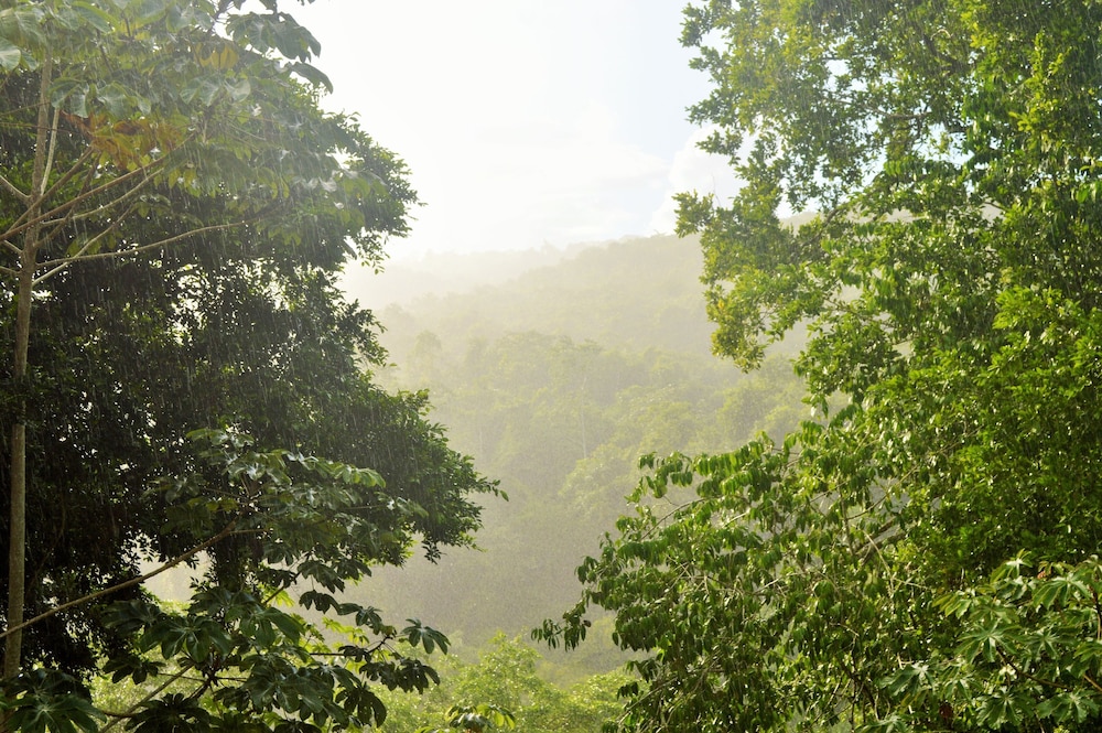 Table Rock Jungle Lodge 57/65