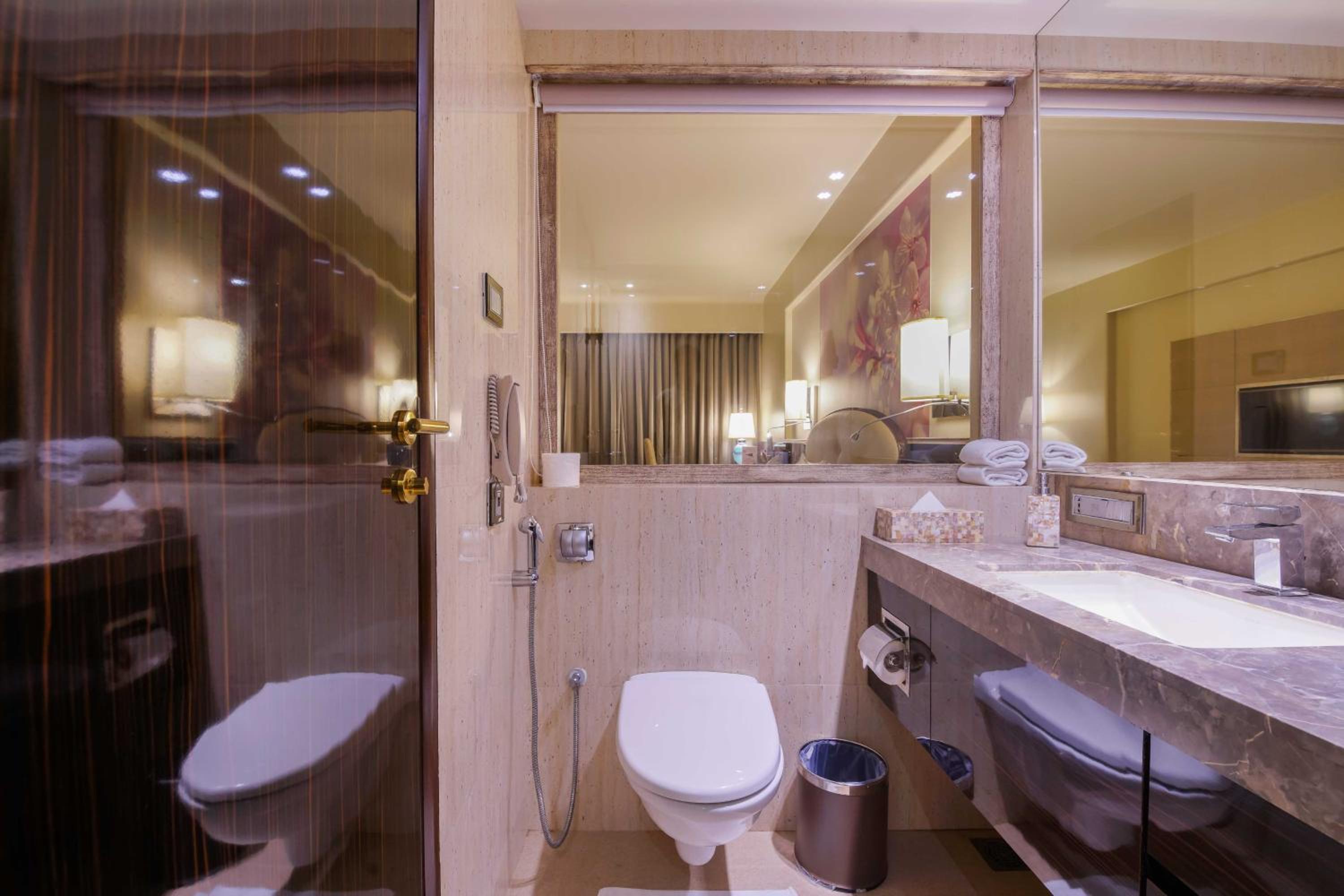 Hotel Sai Palace Grand Malad 38/41