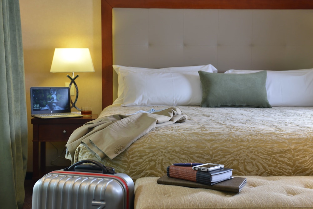 Falls Iguazu Hotel & Spa 22/67