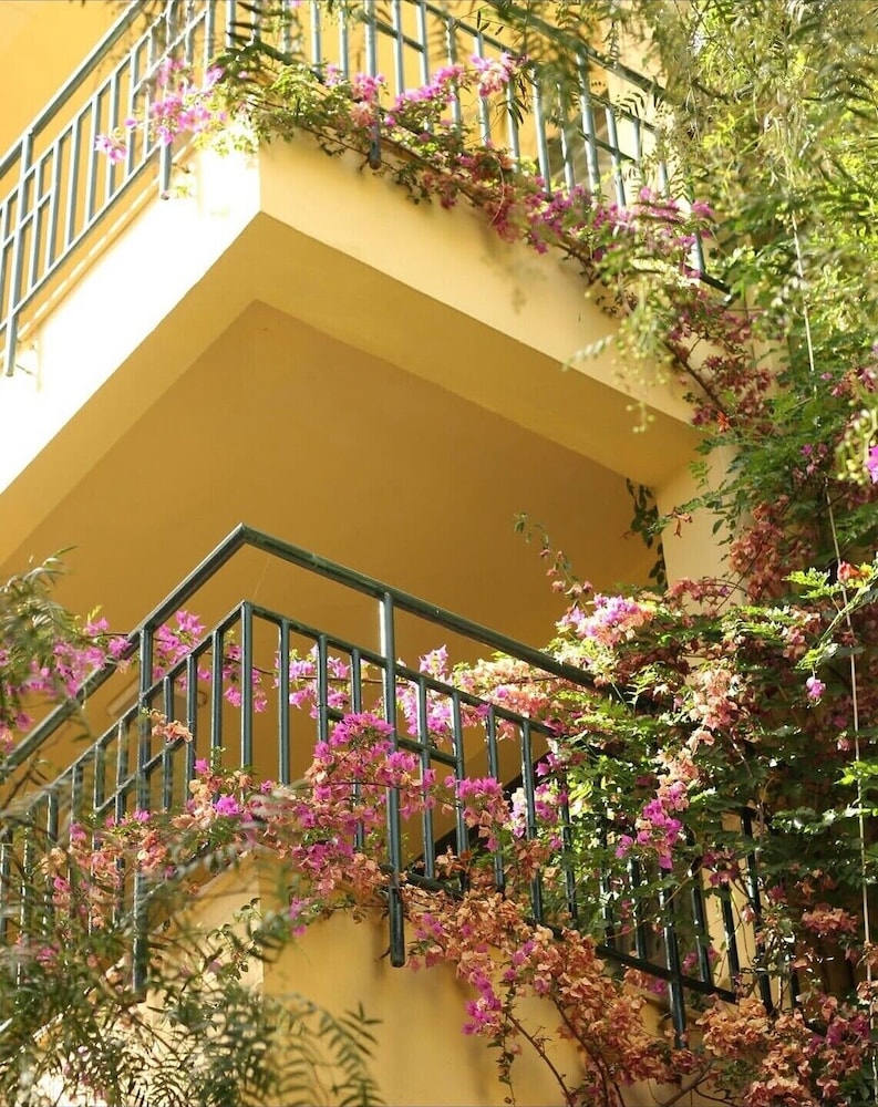 Palm Court Suites 36/48
