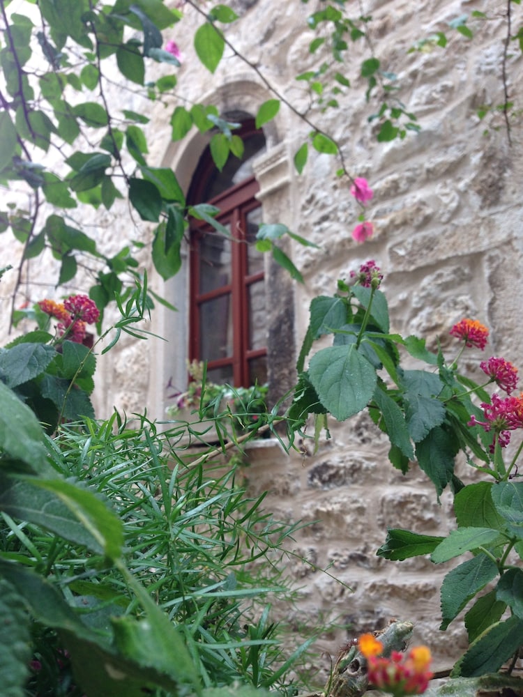 Hotel Villa Nora 6/49