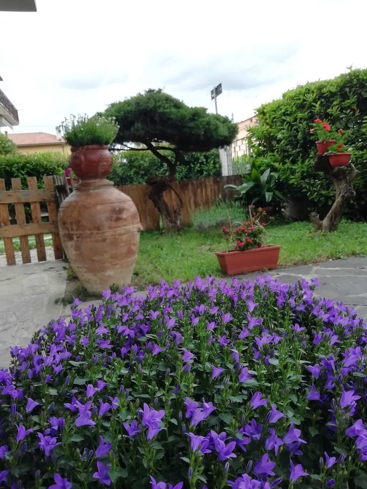 B&B Il Cedro 21/27