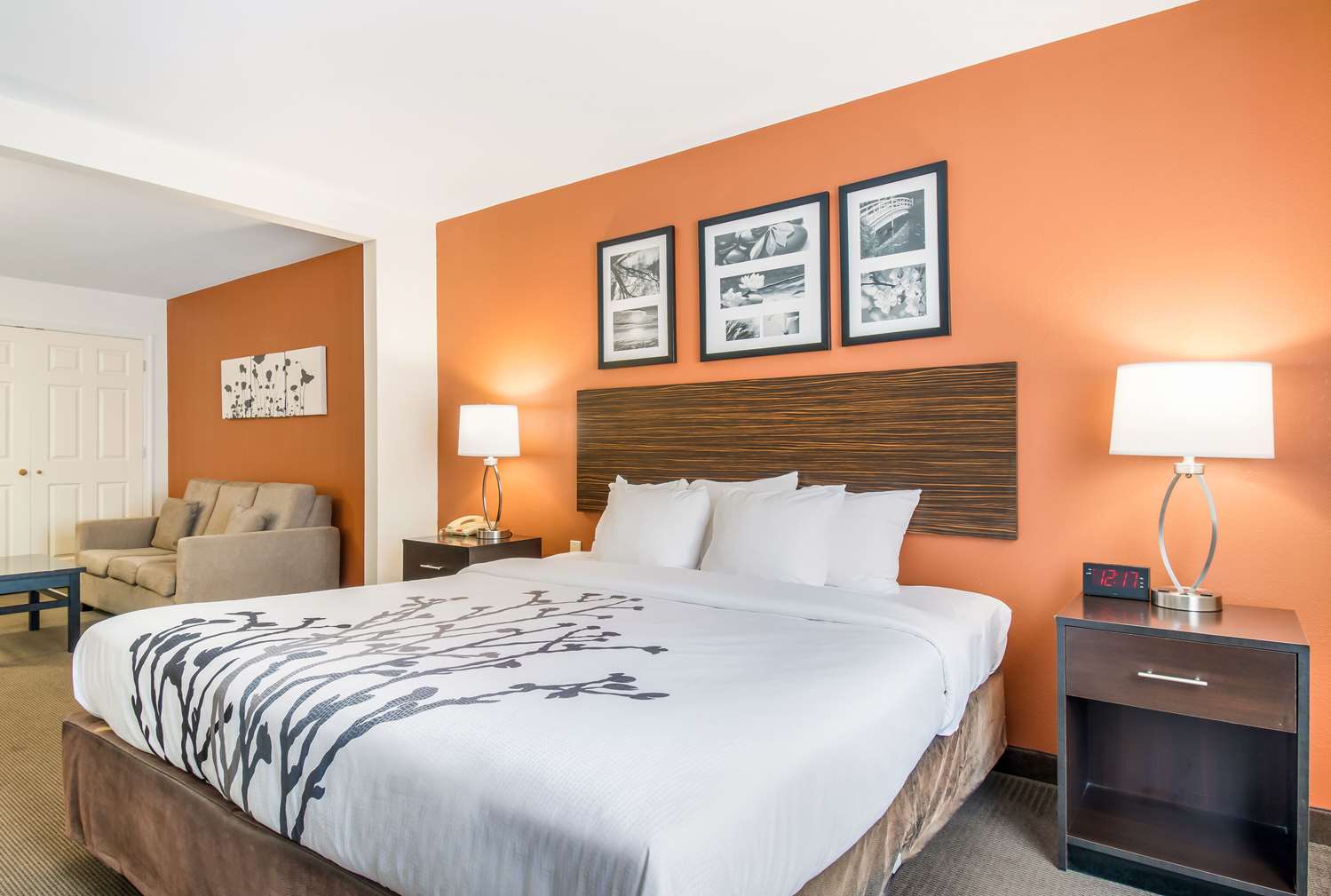 Room, King Bed, Accessible
