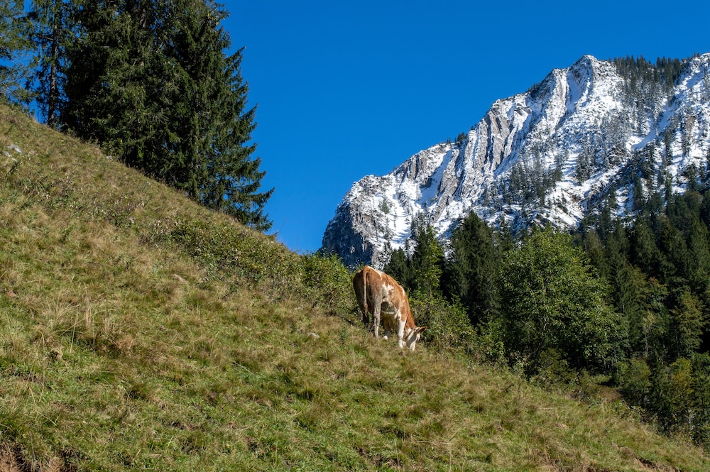 Arabella Alpenhotel am Spitzingsee 25/43