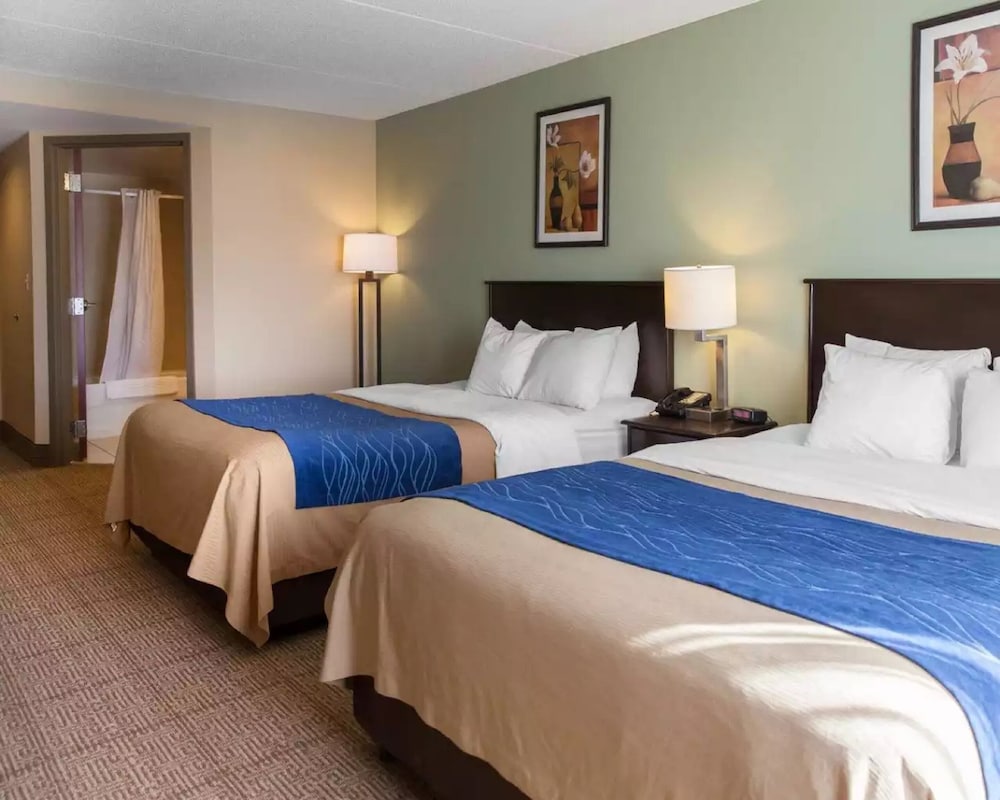 Comfort Inn Near Quantico Main Gate North 9/35