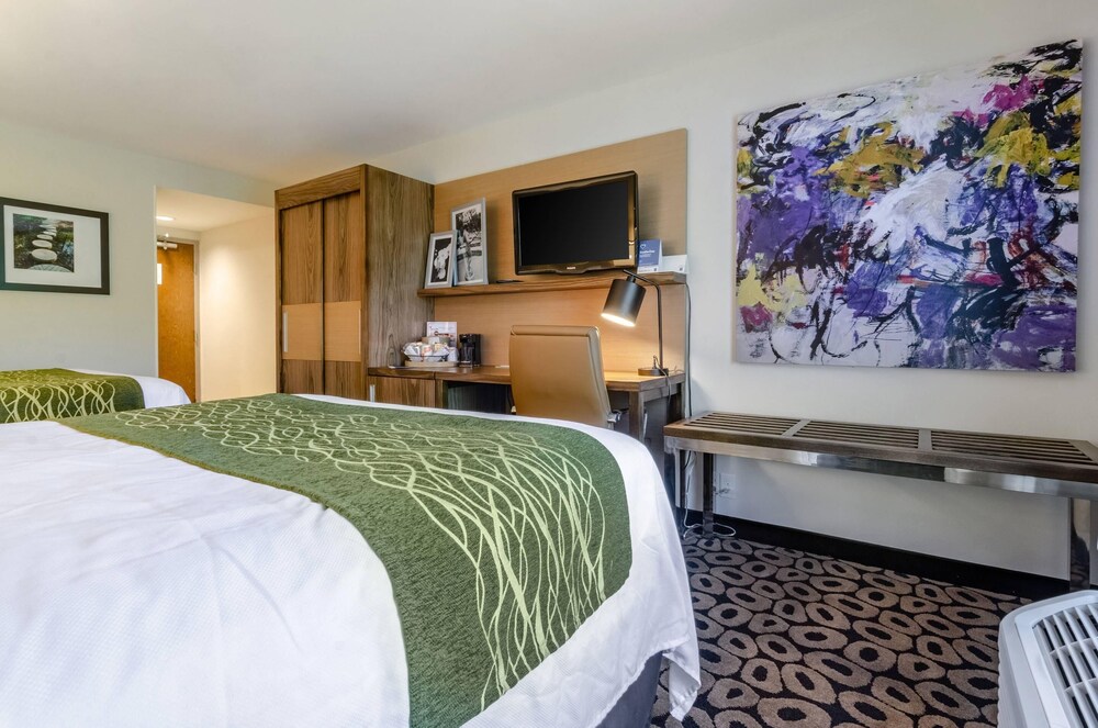 Upgrade, 2 Queen Beds