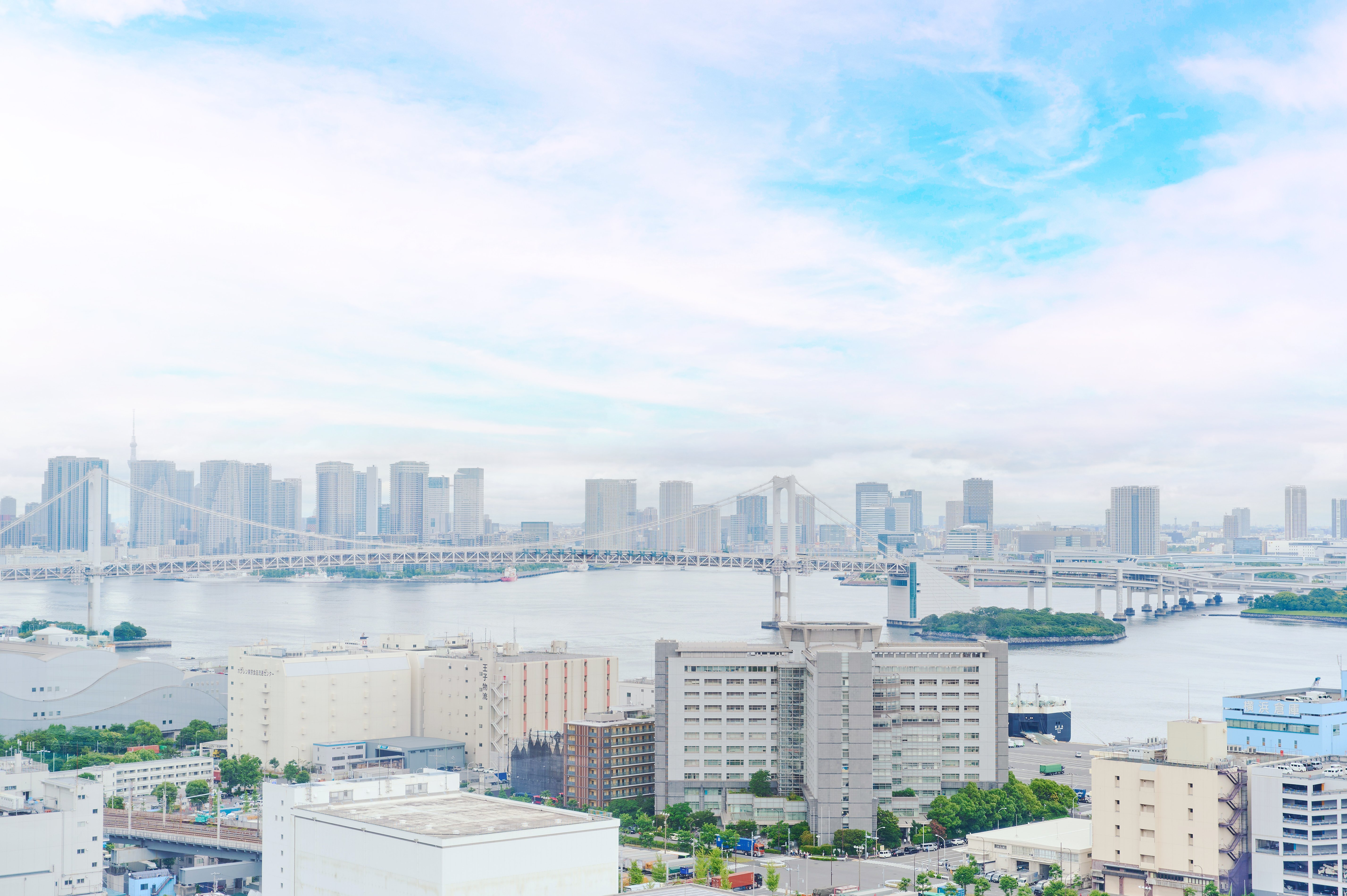 ANA Holiday Inn Tokyo Bay 47/50