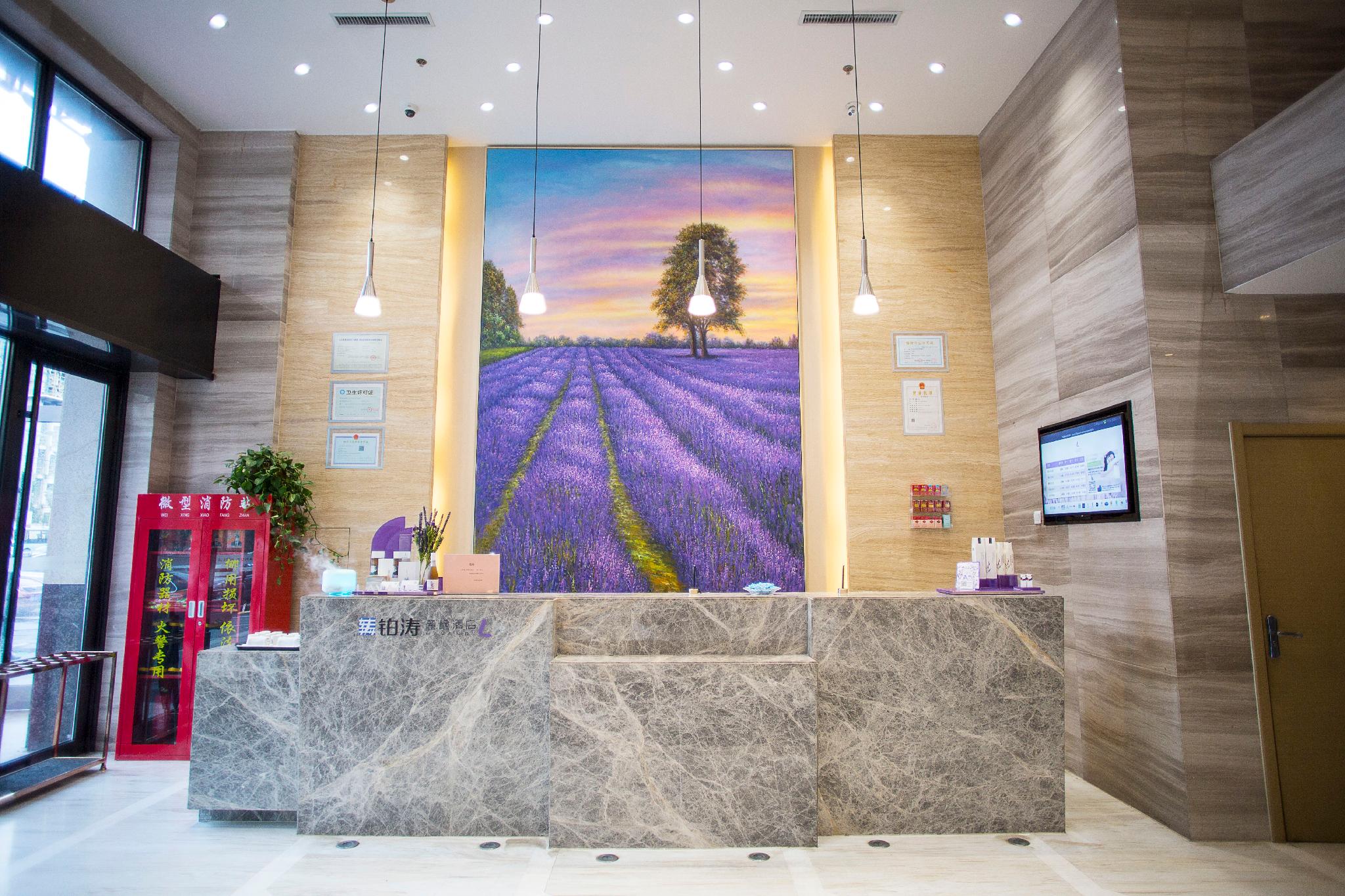 Lavande Hotels (Harbin Haxi Railway Station) 15/48