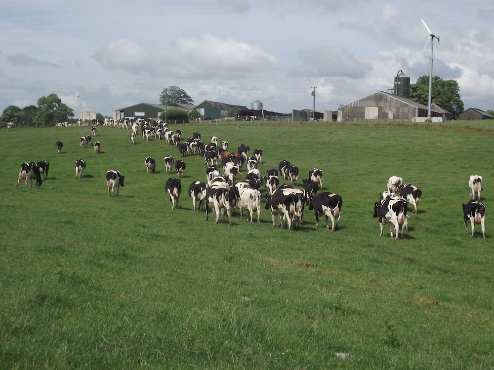Broomhills Farm River Eco Pods 13/21