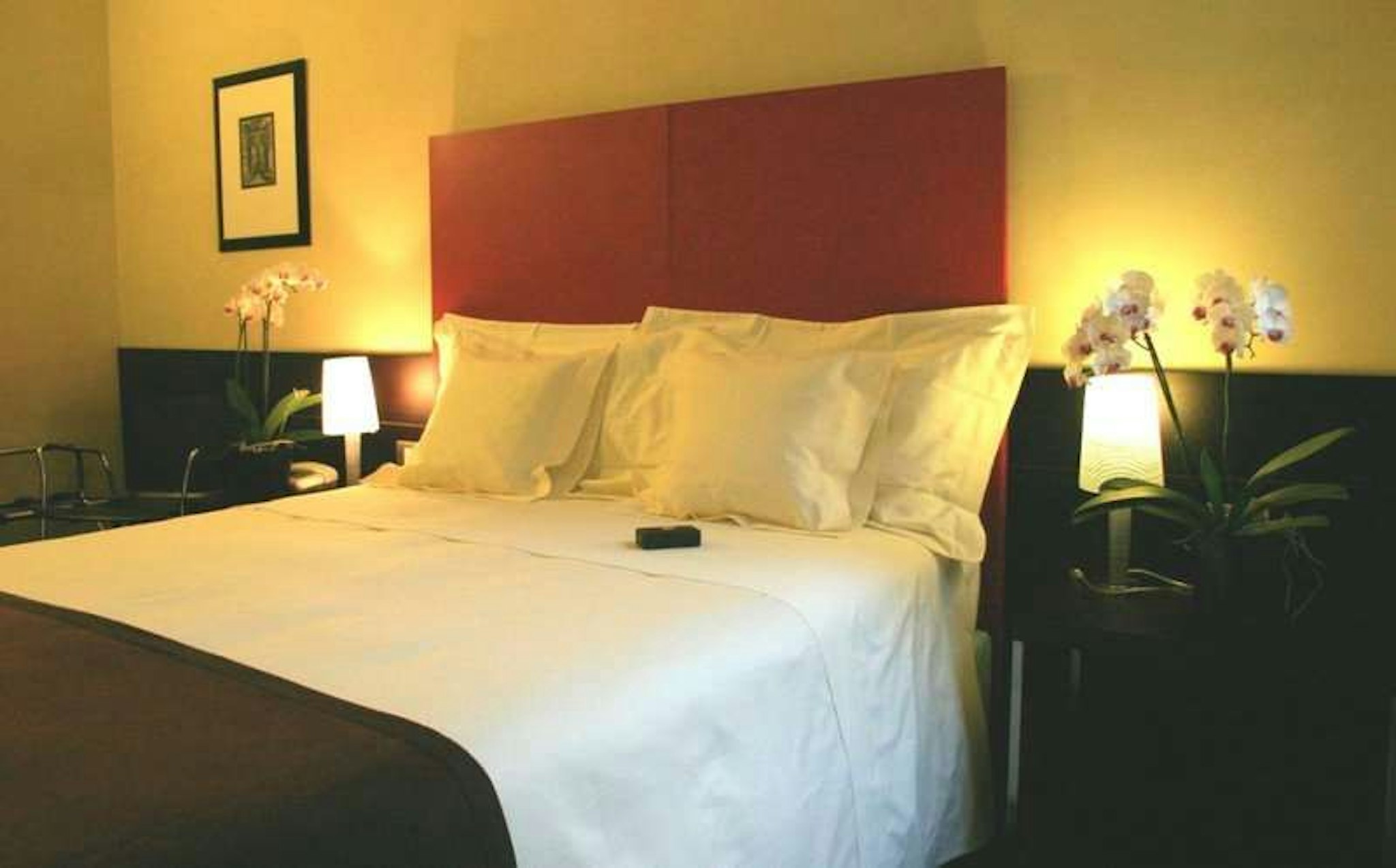 Hotel Colombia 20/54