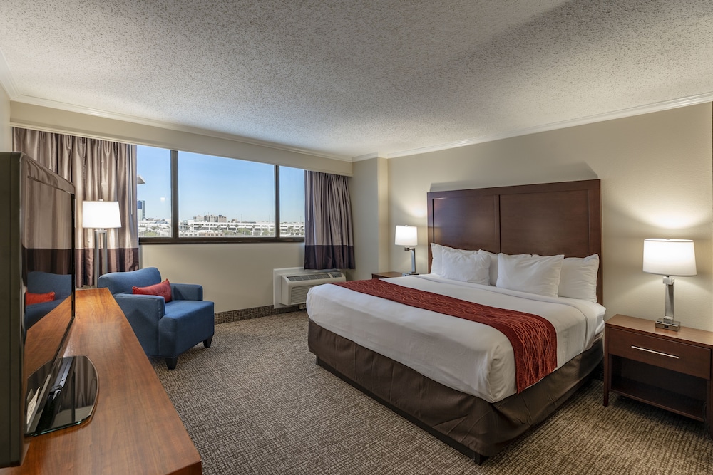 JUNIOR SUITE, KING BED
