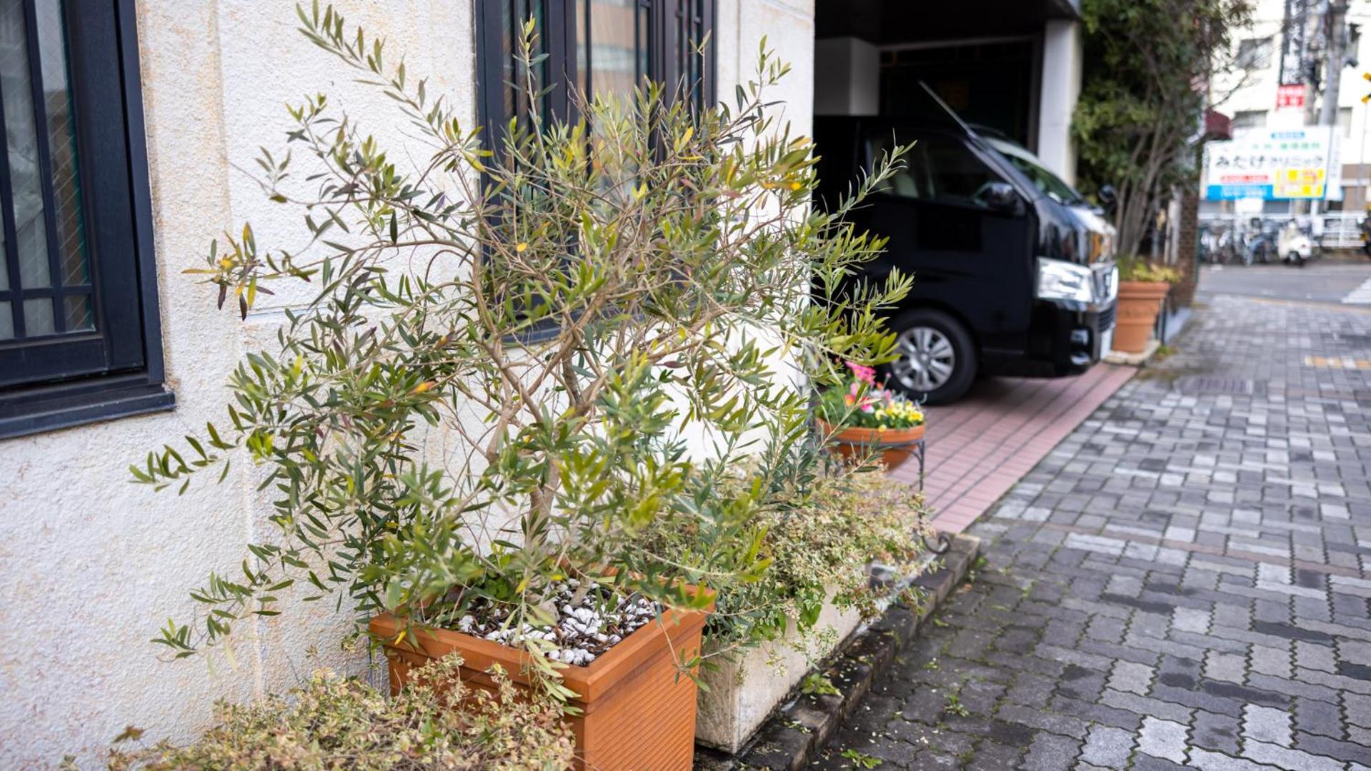 Hotel Dorf Shizuoka 49/56