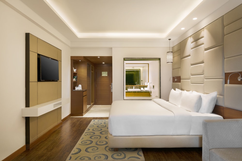 RADISSON JAIPUR CITY CENTER 18/68