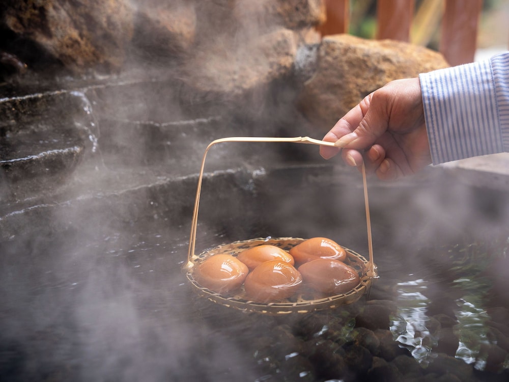 Shiobara Onsen Yashio Lodge 9/42