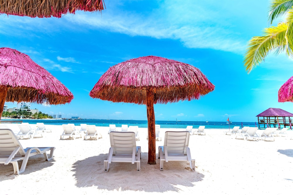 Oasis Palm All Inclusive 48/50