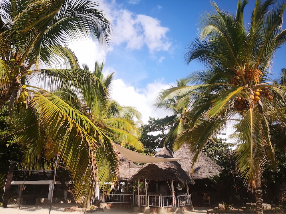 Mambo Ocean Resort 38/50
