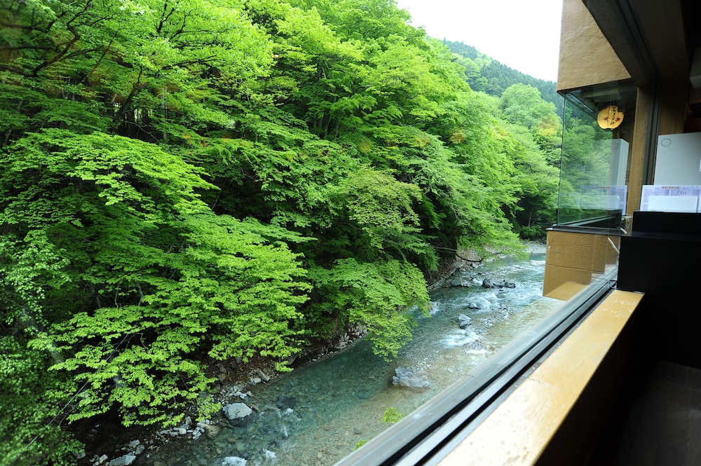 Shima Yamaguchikan 30/50