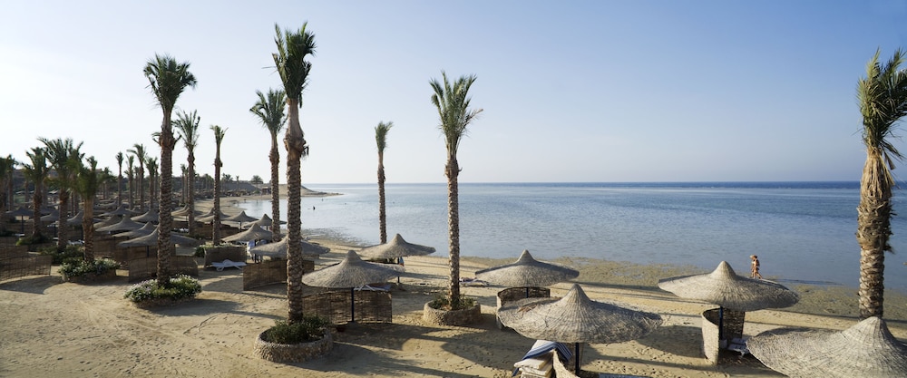 Blend Elphistone Resort Marsa Alam 77/80