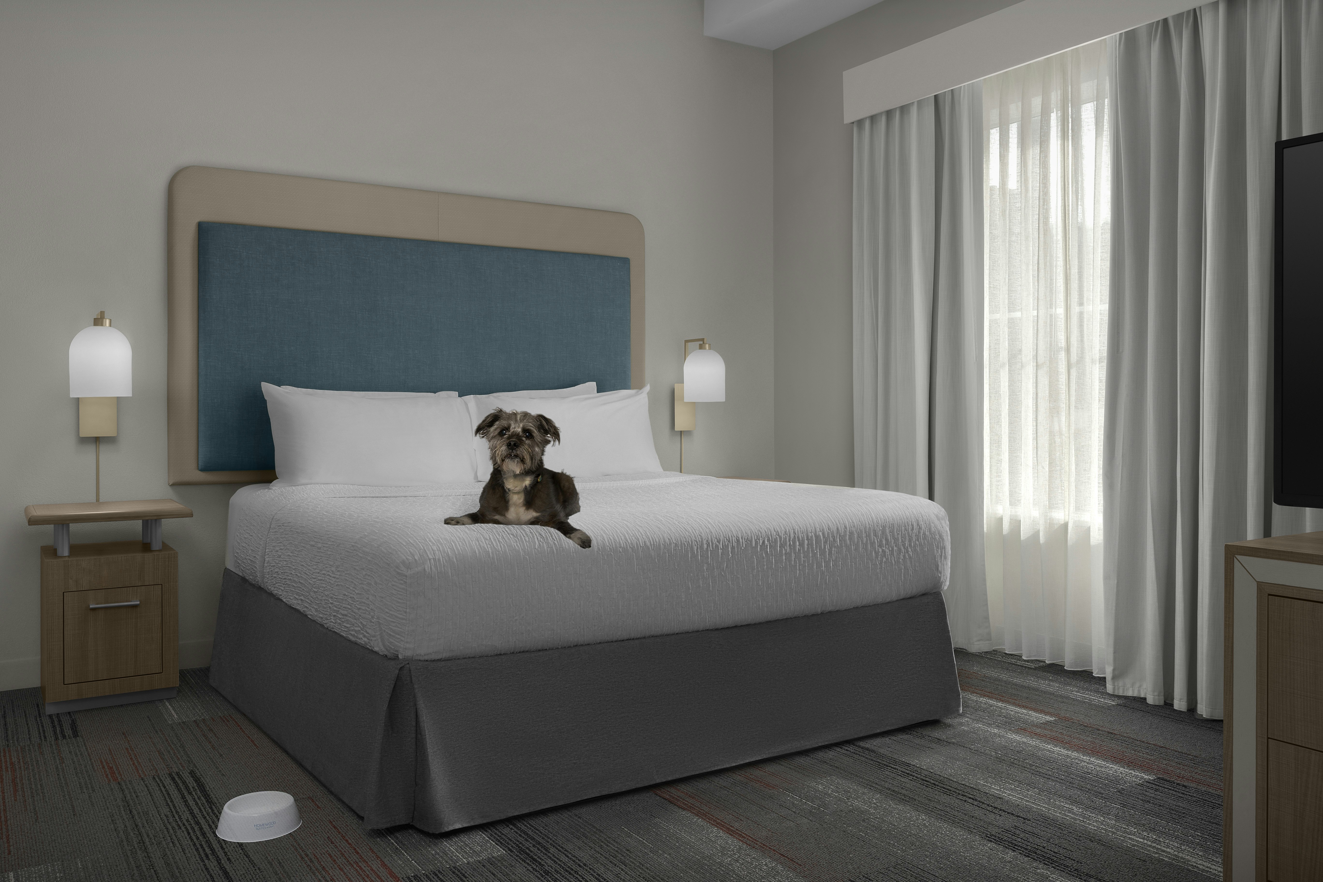 Homewood Suites By Hilton Hoover Sw-Riverchase- Galleria 11/38