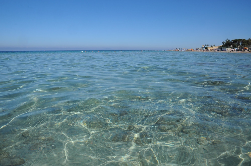 Delfino Beach Hotel 41/50