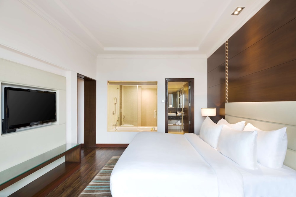 RADISSON JAIPUR CITY CENTER 20/68
