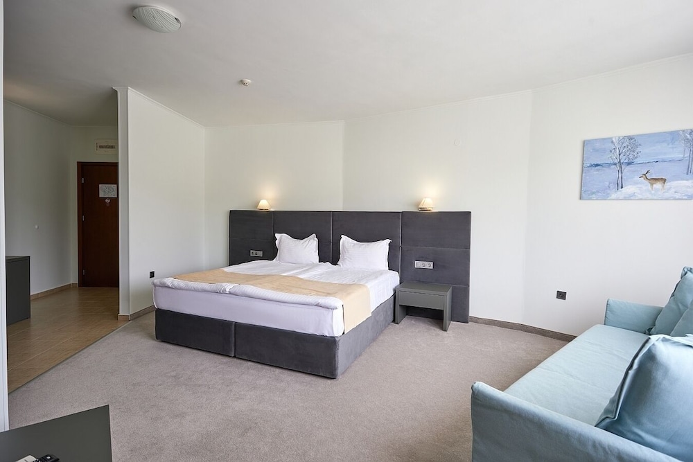 HOTEL CONTINENTAL 14/41