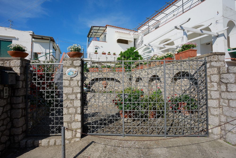 La Ninfa Di Capri 24/45
