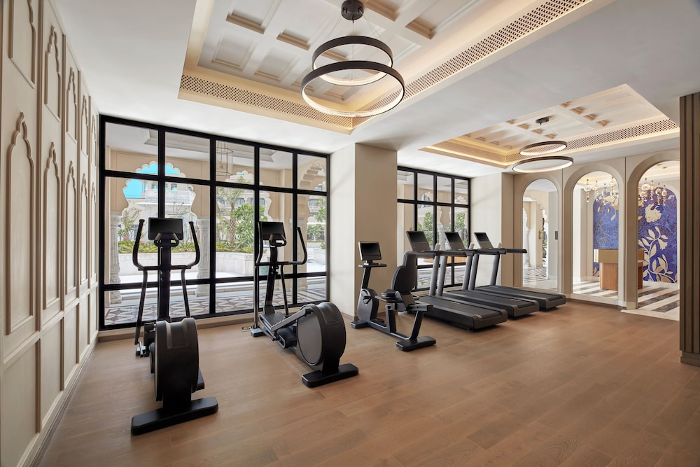 Fairmont Udaipur Palace 22/49
