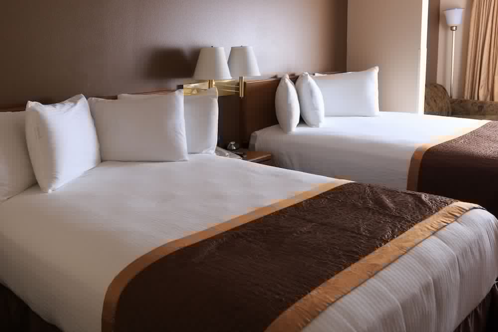New Victorian Suites 23/66