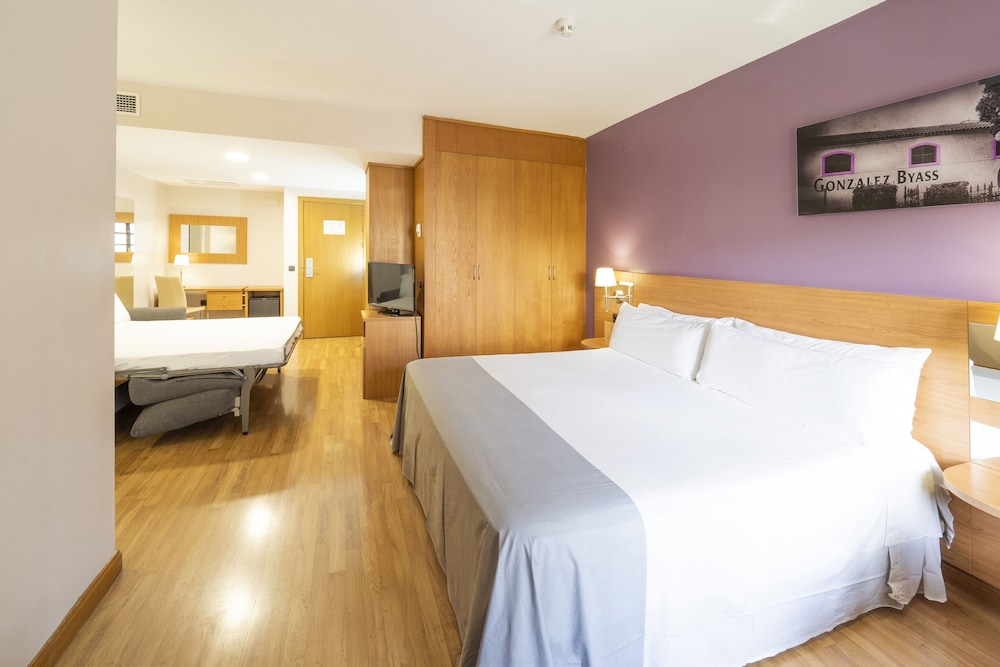 Hotel Jerez Centro 15/50