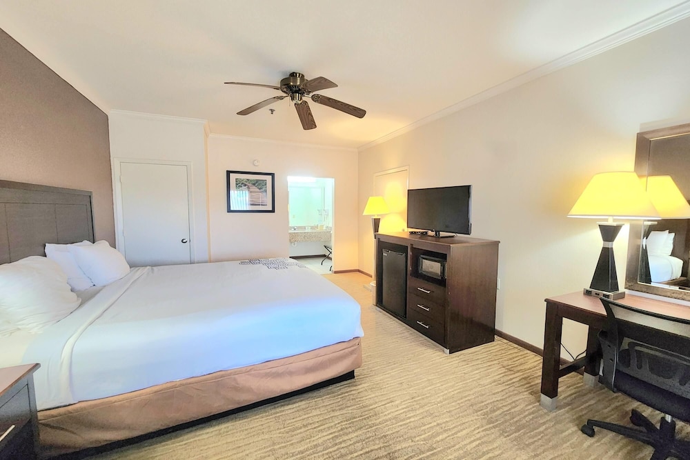 Studio, Suite, King Bed
