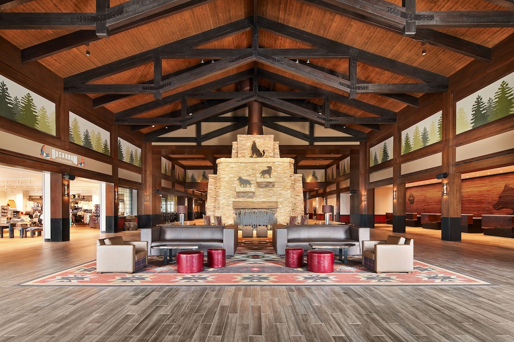 Great Wolf Lodge Manteca 19/49
