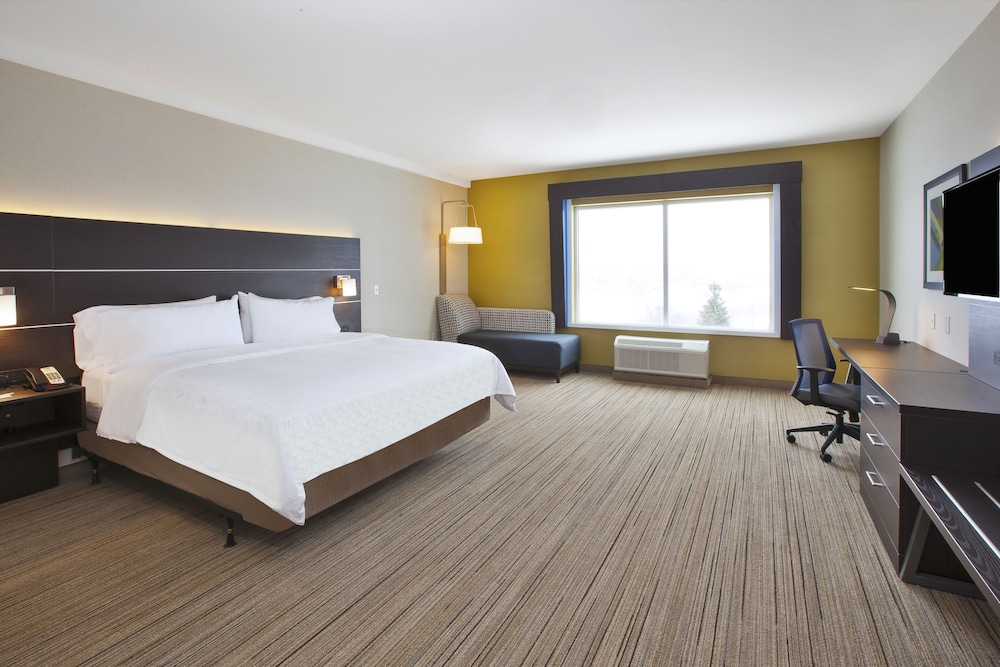 Holiday Inn Express Auburn Hills South 16/51