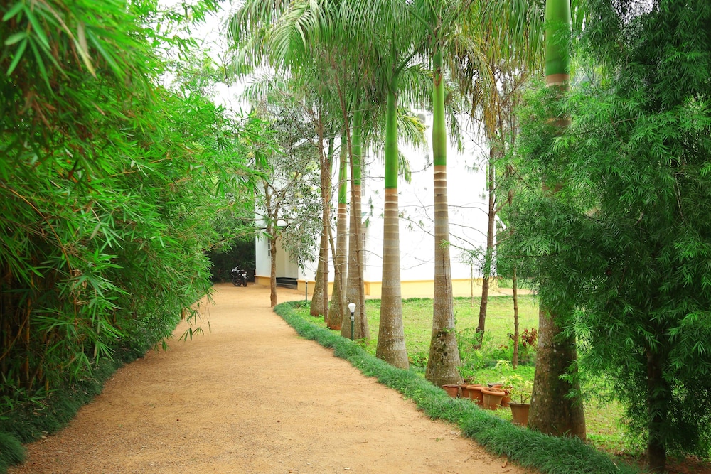 Vythiri Greens Resort 16/25