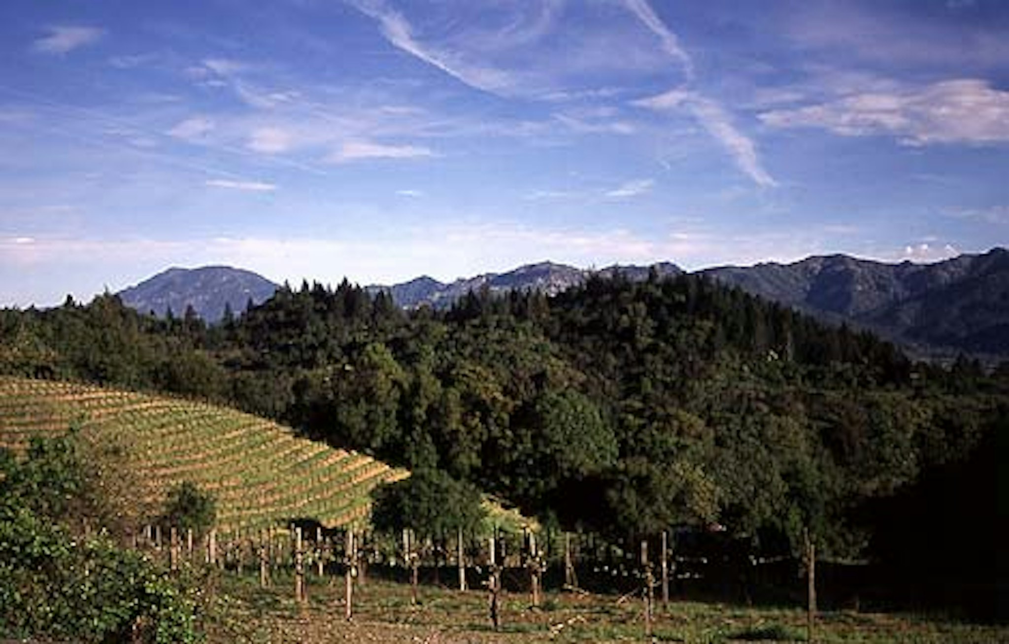 Southbridge Napa Valley 33/43