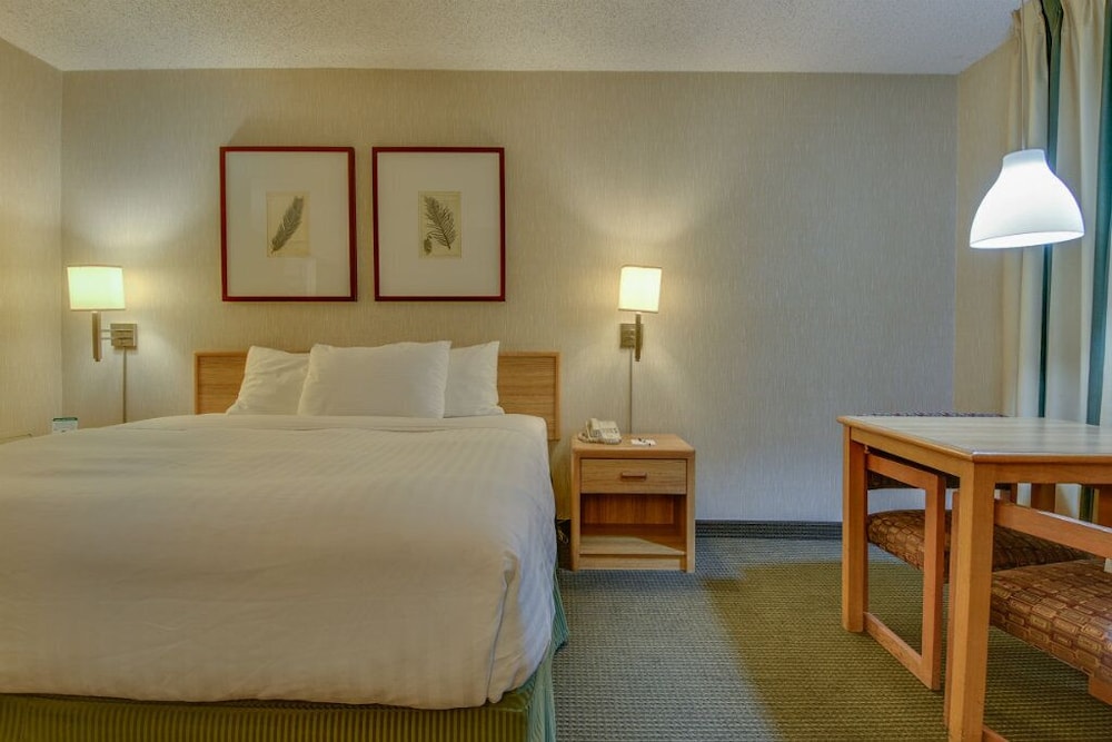 ROOM, SINGLE, KING BED, ACCESSIBLE