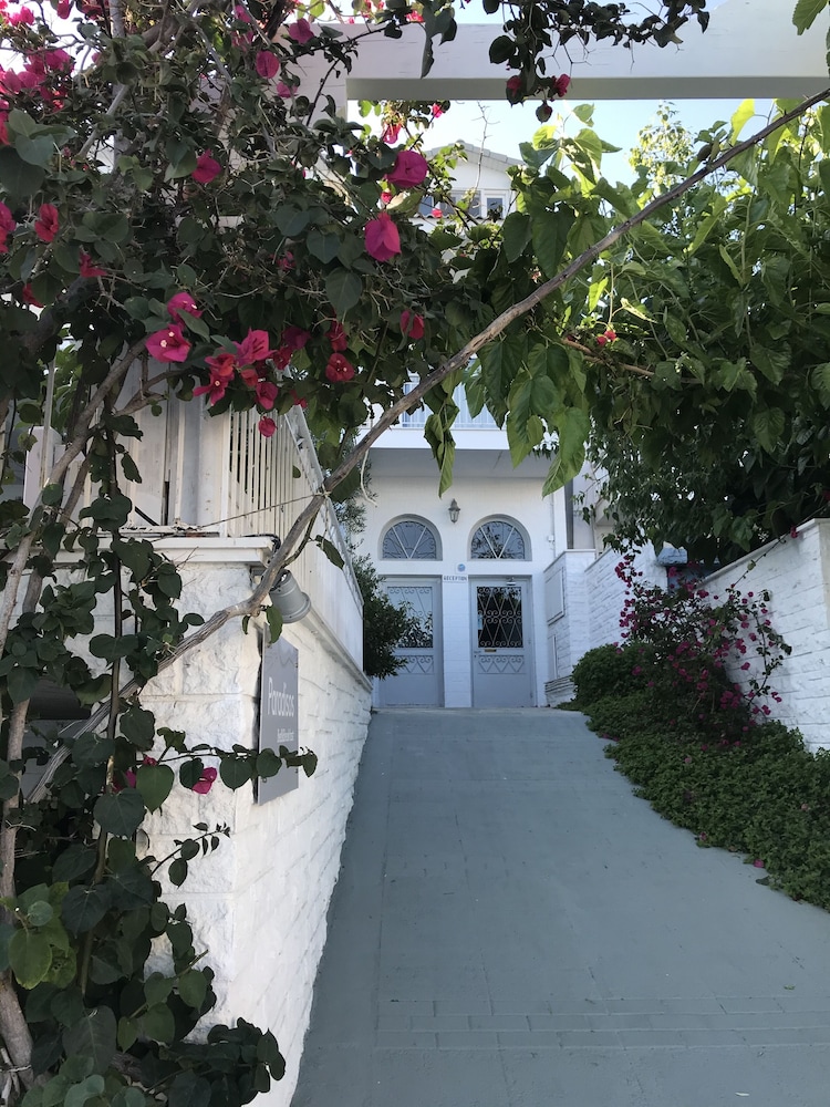 Paradisos Hotel 42/50