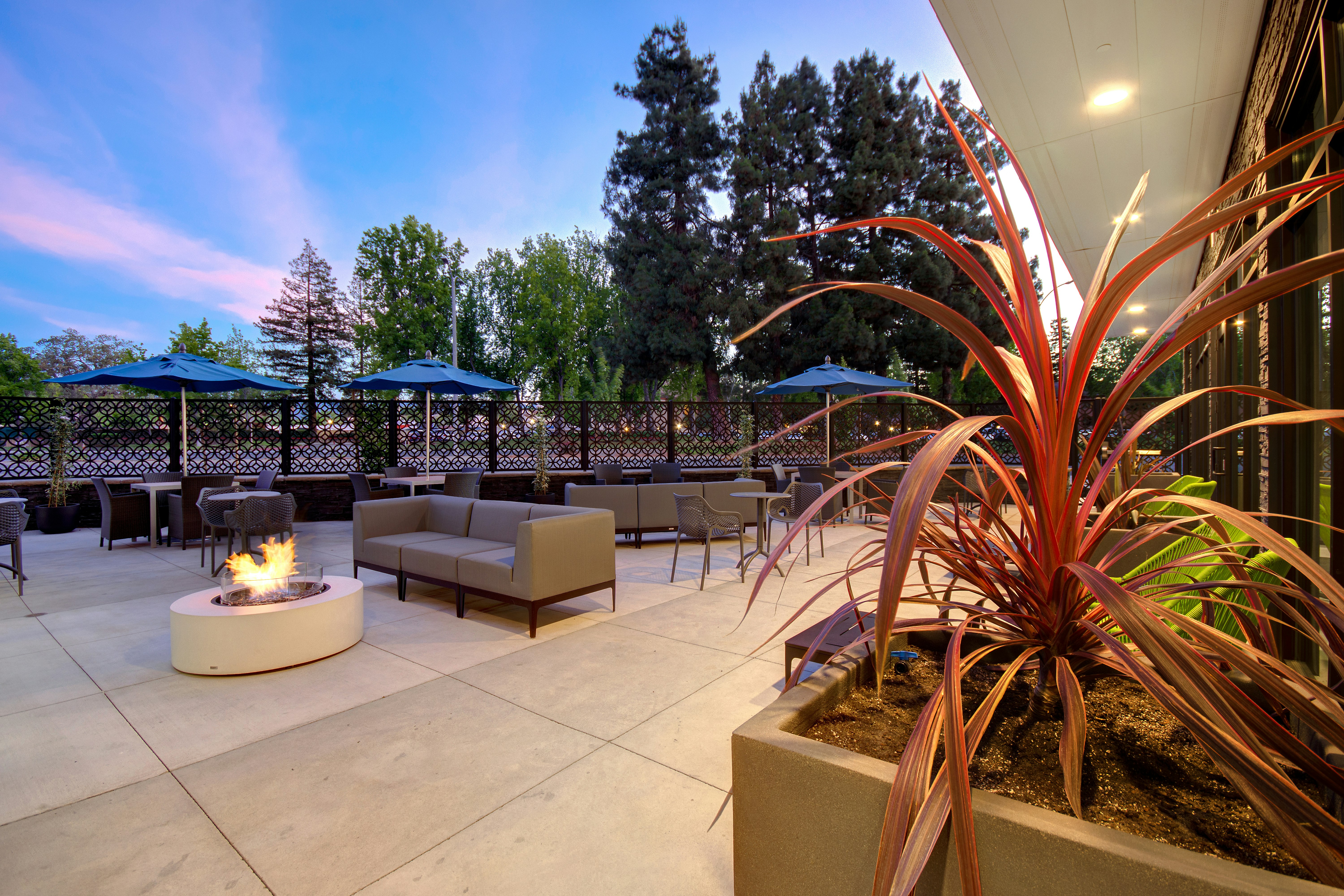 Hampton Inn & Suites Sunnyvale Silicon Valley 41/60