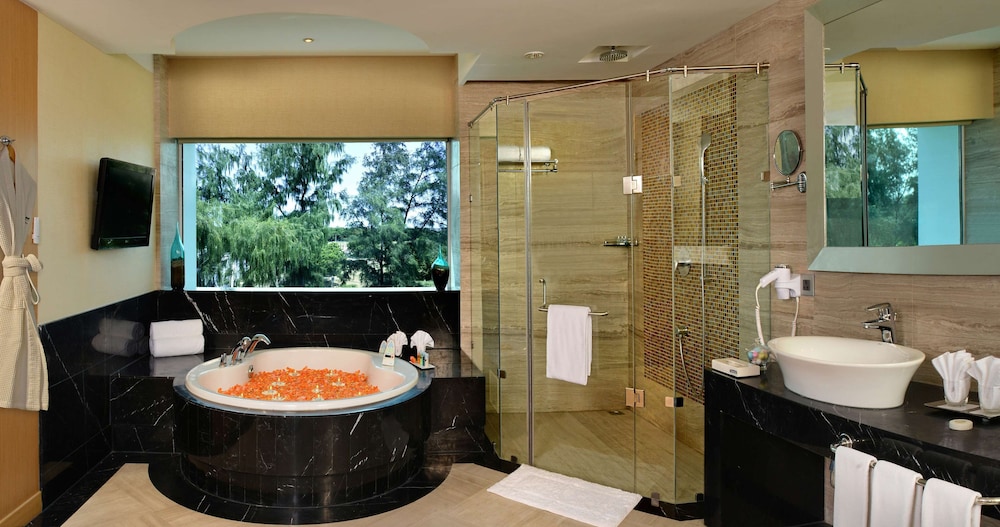 Radisson Resort & Spa Kandla 73/89