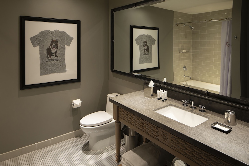 Hotel Zaza Austin 26/76