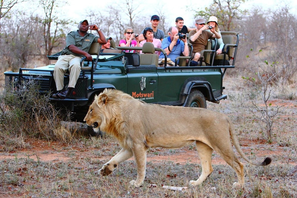 Motswari Private Game Reserve Timbavati 39/50