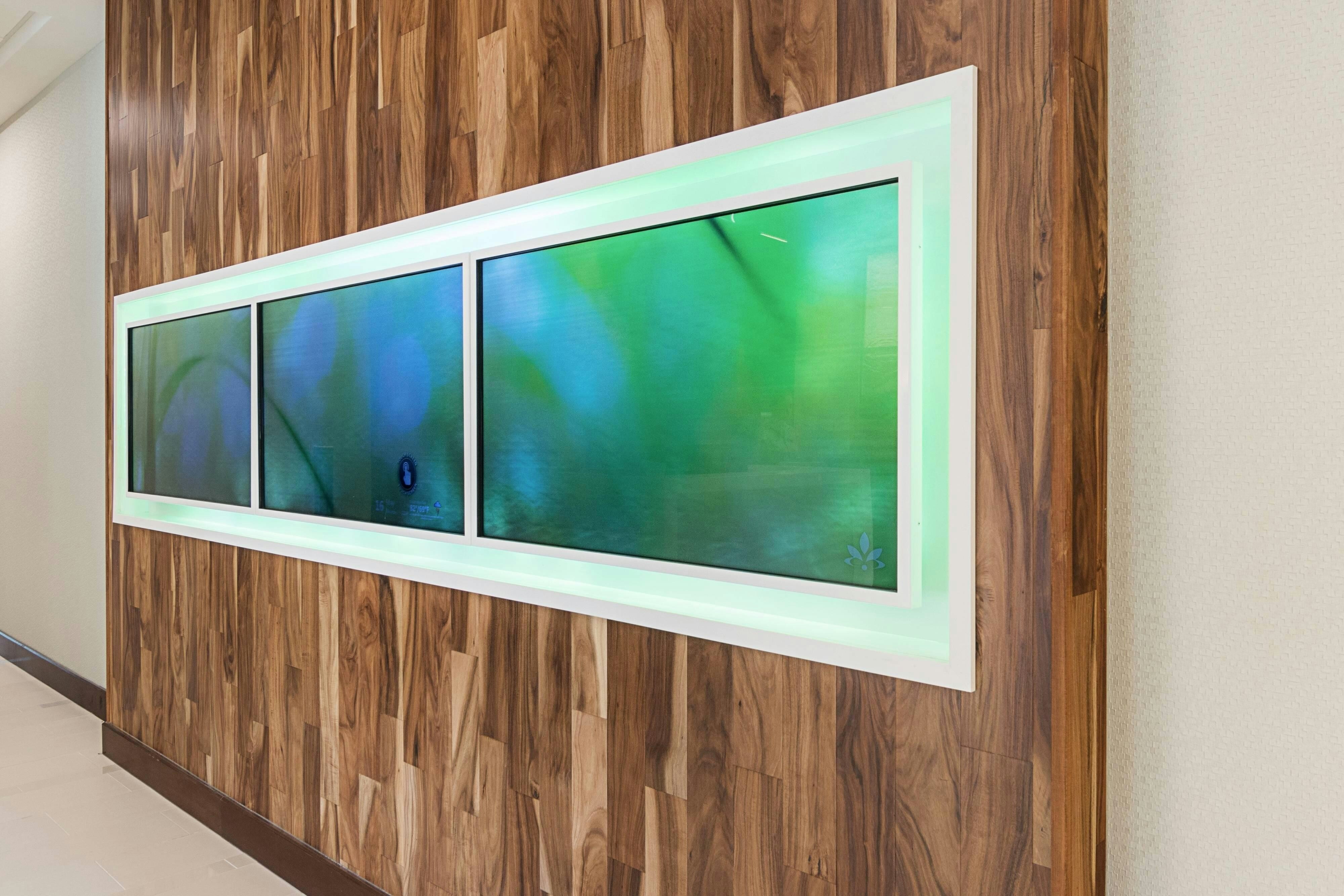 スプリングヒル・スイート・フォートワース・フォッシル・クリーク(SPRINGHILL SUITES FORT WORTH FOSSIL CREEK) 写真2