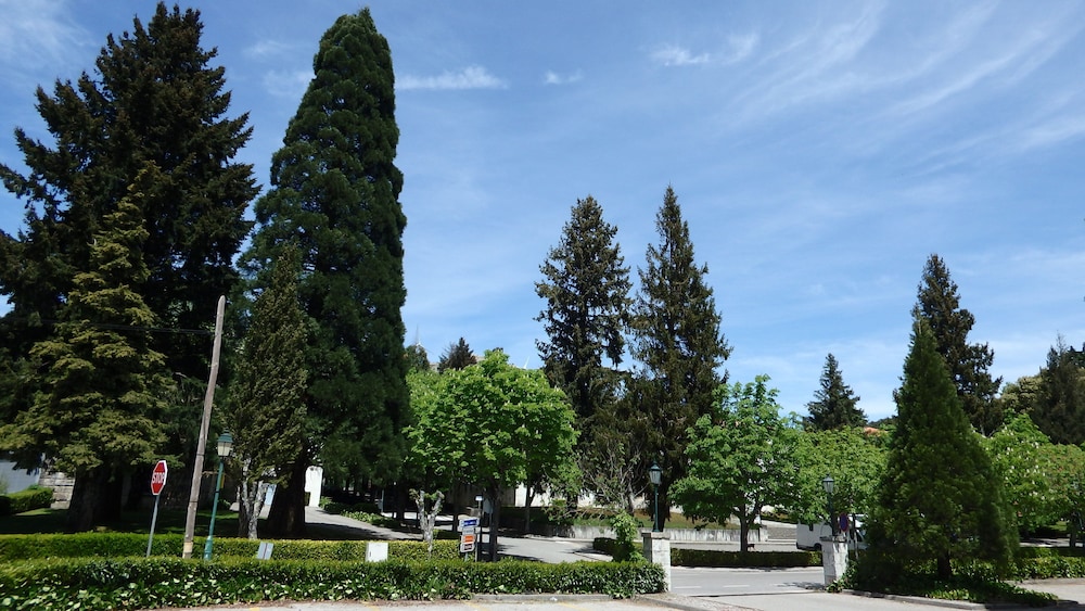 Lam Hotel Caramulo 68/76