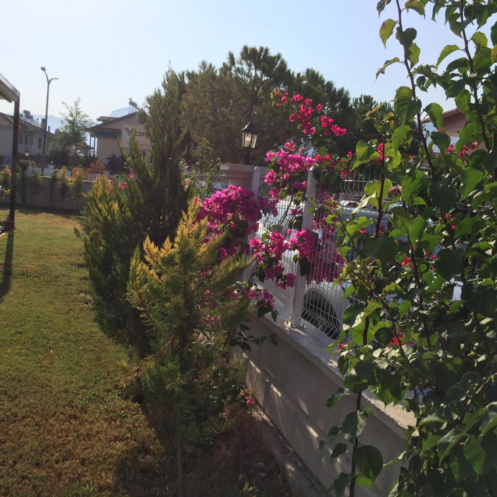 Dalyan Vespera Hotel 34/42
