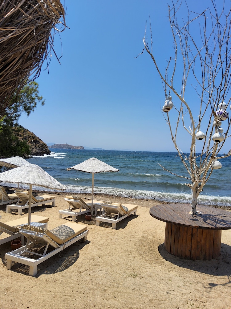 Ladonia Hotels Zemda Gumusluk 39/50